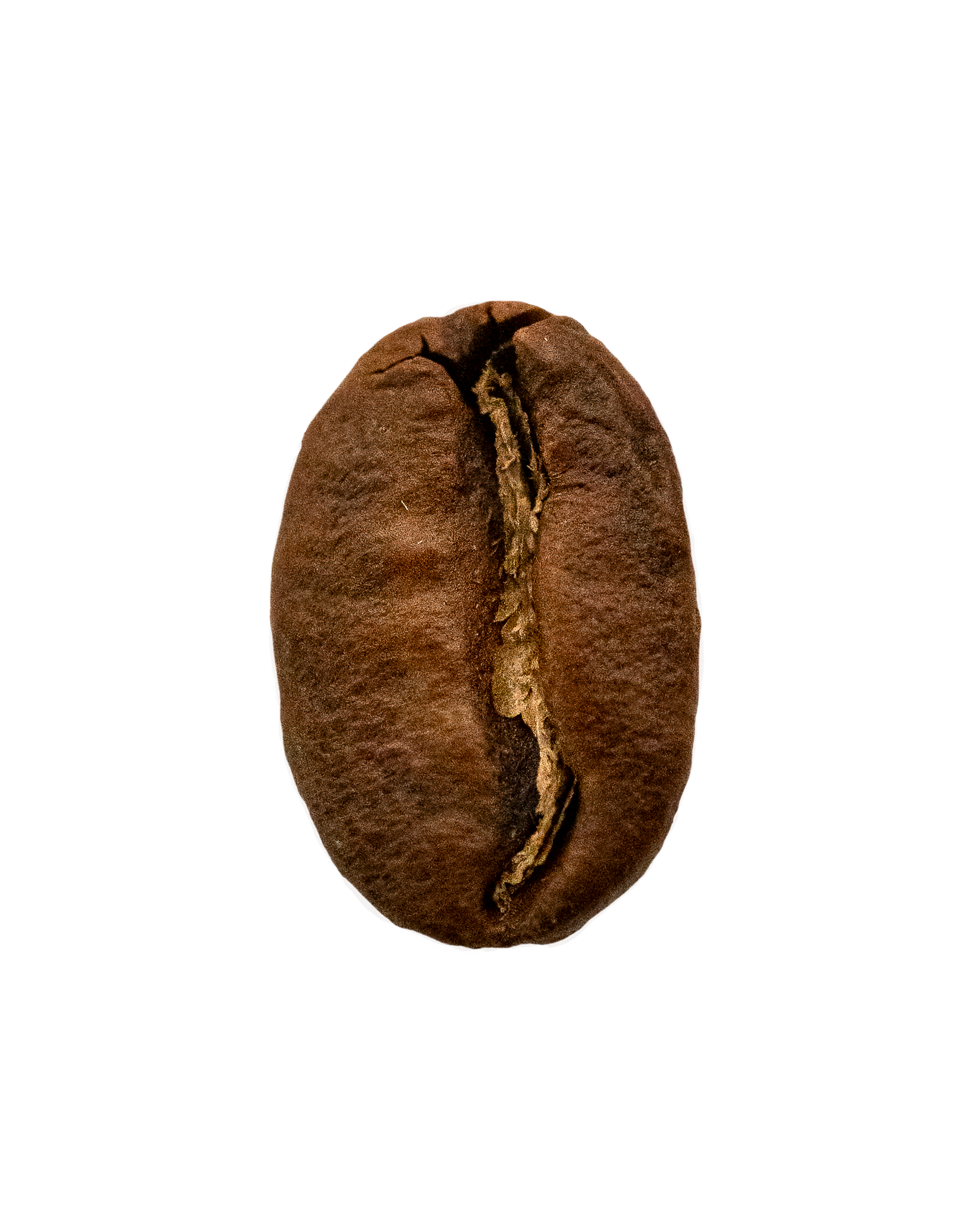 Colombia, Campo Amor