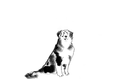 Illustration Dog